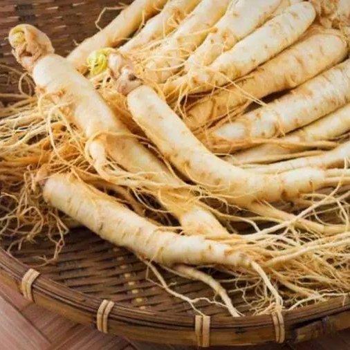 پودر جنسینگ کره ای و درمان بیماری جنسی اقایان  200گرم